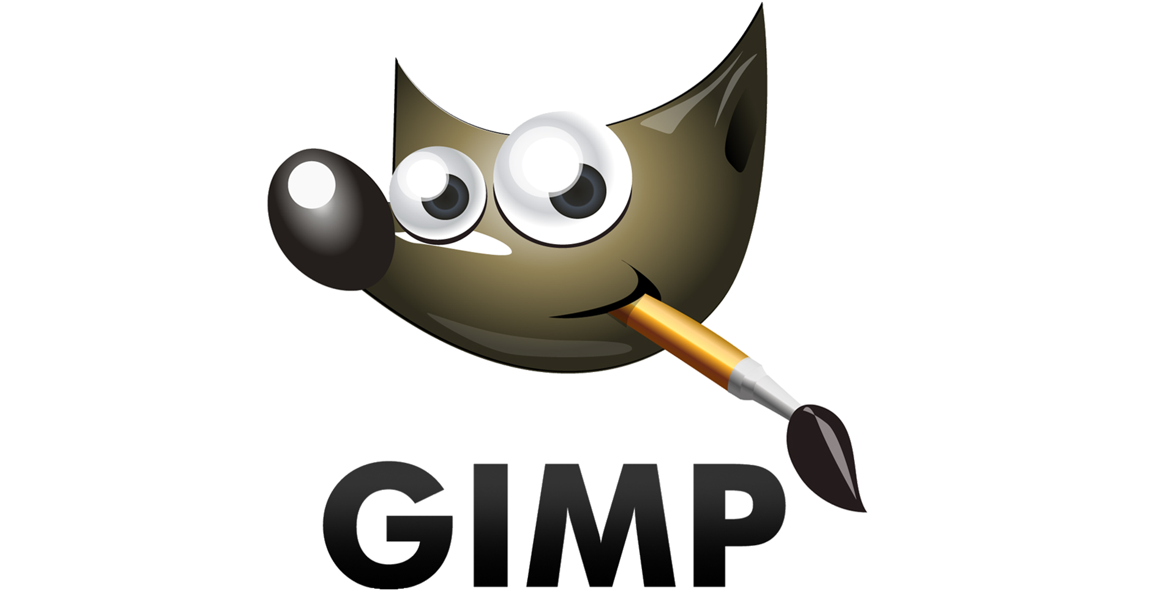 gimp